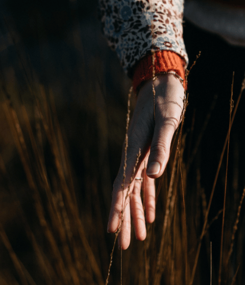 Patronen en hoe ze ontstaan